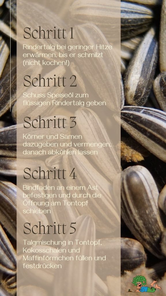 Vogelfutter3