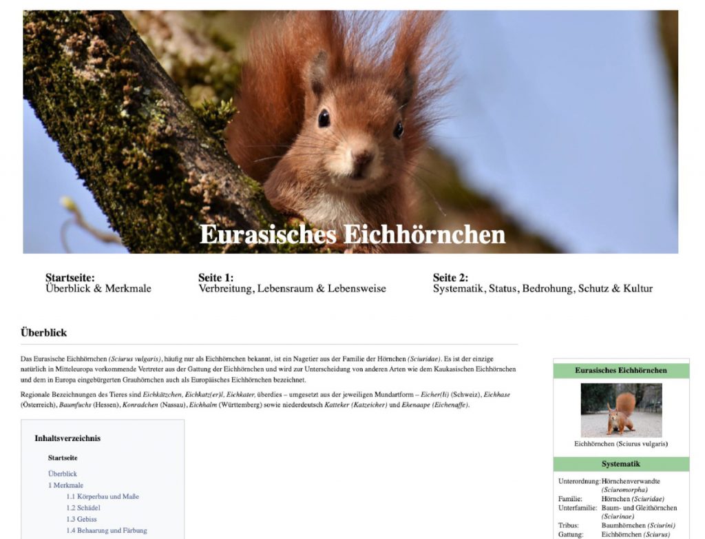 eichhörnchen-startseite